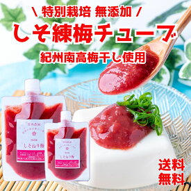 竹内農園 しそ練り梅 180g 2個 チューブ 塩分約20% 1000円ぽっきり ポッキリ ねり梅 練り梅 梅肉 梅チューブ 特別栽培 紀州南高梅干 無添加 梅 うめ キャップ付 万能調味料 梅にく 練梅 送料無料