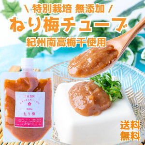 竹内農園 練り梅 180g 1個 チューブ 塩分約20% ねり梅 梅肉 特別栽培 紀州南高梅干 無添加 梅 うめ キャップ付 万能調味料 梅にく 練梅 しそ 送料無料