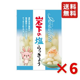 岩下 岩下の塩らっきょう 90g 6袋 岩下食品 塩らっきょう カレー トッピング 漬物 食べきりサイズ おつまみ らっきょう 送料無料