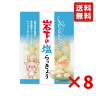 岩下 岩下の塩らっきょう 90g 8袋 岩下食品 塩らっきょう カレー トッピング 漬物 食べきりサイズ おつま…