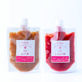 竹内農園 練り梅 しそねり梅 180g 2種セット 1000円ぽっきり ポッキリ チューブ 塩分約20% ねり梅 梅肉 特別栽培 紀州南高梅干 無添加 梅 うめ 万能調味料 梅にく 練梅 送料無料