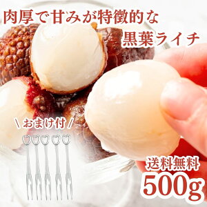 Ⓚt[c C` 500g ܂t t[ctH[N5{Zbg t 썑t[c sgp Ysgp Ɩp Ⓚ X[W[ X gsJt[c ⓀC` 