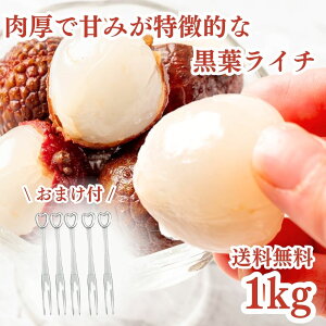 Ⓚt[c C` 1kg (500g×2܁j܂t t[ctH[N5{Zbg t 썑t[c sgp Ysgp Ɩp Ⓚ X[W[ X gsJt[c ⓀC` 