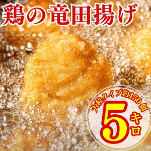 {̗cg 1kg × 5 cg y g Ⓚ Ⓚ  g p[eB[ NX}X { {ނ˓ ނ  WOK ȒP Ⓚٓ y 