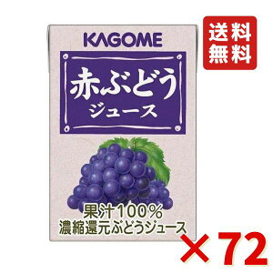 カゴメ 赤ぶどうジュース 100ml 72本 大容量 ブドウジュース 果汁100% 濃縮還元 紙パック 送料無料