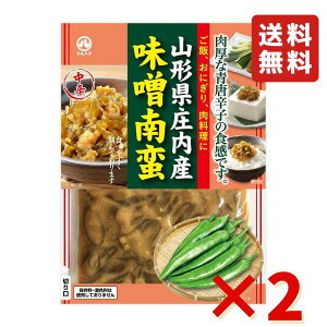 }n` R`Y X100g 2 т̂ ɂ ӂ肩 Е  