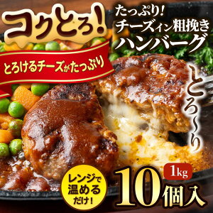 `[YCno[O Ⓚ 1kg 10 ` W[V[ _炩 `[YC no[O Ɩp ٓ  ⓀHi y W 