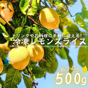 XCX Ⓚ ֐؂ 500g (500g×1) Ⓚt[c T[ l[h eB[ Ⓚ  Ɩp X o 