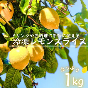 XCX Ⓚ ֐؂ 1kg (500g×2) Ⓚt[c T[ l[h eB[ Ⓚ  Ɩp X o 