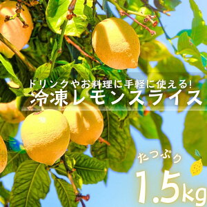 XCX Ⓚ ֐؂ 1.5kg (500g×3) Ⓚt[c T[ l[h eB[ Ⓚ  Ɩp X o 