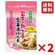 岩下 岩下の新生姜生姜漬けの素 400ml 2袋 岩下食品 酢漬け 漬物 ピクルス 生姜 簡単 漬物の素 送料無料