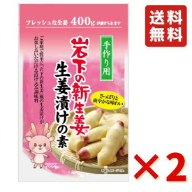 岩下 岩下の新生姜生姜漬けの素 400ml 2袋 岩下食品 酢漬け 漬物 ピクルス 生姜 簡単 漬物の素 送料無料