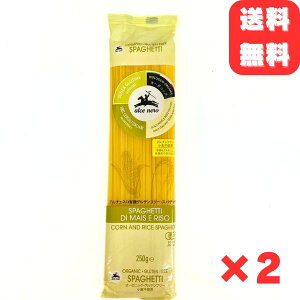 �A���`�F�l�� �L�@ �O���e���t���[ �X�p�Q�b�e�B 250g 2�� �X�p�Q�e�B �I�[�K�j�b�N �C�^���A�Y �����s�g�p ALCE NERO ��������