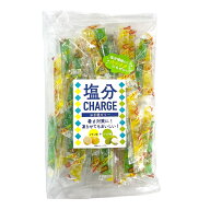坂製菓 塩分チャージゼリー レモン＆ライチ 500g （約53本）1袋 塩分チャージ 凍らせても美味しい シャー…