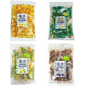 坂製菓 塩分チャージゼリー 4種から2袋選べる 500g （約53本）×2袋 塩分チャージ 凍らせても美味しい シャーベット ゼリー 小分け 駄菓子 業務用 熱中症 熱中症対策 こんにゃくゼリー 送料無料 塩分チャージ