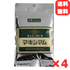 中村食肉 マキシマム オリジナルスパイス 詰め替え用 (120g×4袋) スパイス キャンプ アウトドア 肉 魚 ステーキ 便利 チャック付き 送料無料
