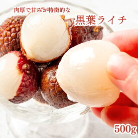 冷凍フルーツ ライチ 500g 冷凍 黒葉 南国フルーツ 砂糖不使用 添加物不使用 業務用 トロピカルフルーツ