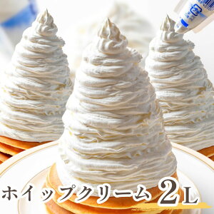 �z�C�b�v�N���[�� 1000ml×2�� �v2L �Ɩ��p �Ⓚ�z�C�b�v�N���[�� �t���[�Y���z�C�b�v �N���X�}�X �o�����^�C�� �z���C�g�f�[ �P�[�L��� ���َq��� ��������