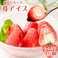 冷凍 いちごまるごと練乳入りアイス 練乳いちごアイス 45粒(45粒×1袋) 苺アイス おやつ アイス 業務用 …
