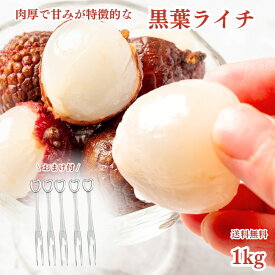冷凍フルーツ ライチ 1kg (500g×2袋) 冷凍ライチ おまけ付 フルーツフォーク5本セット 黒葉 南国フルーツ 砂糖不使用 添加物不使用 業務用 トロピカルフルーツ 送料無料
