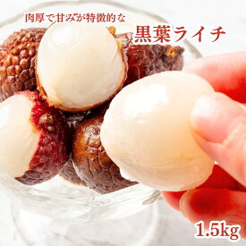 冷凍フルーツ ライチ 1.5kg (500g×3袋) 黒葉 南国フルーツ 砂糖不使用 添加物不使用 業務用 冷凍 スムージー かき氷 トロピカルフルーツ 冷凍ライチ 送料無料