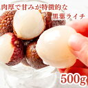 冷凍フルーツ ライチ 500g 冷凍 黒葉 南国フルーツ 砂糖不使用 添加物不使用 業務用 トロピカルフルーツ