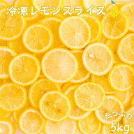 レモンスライス 冷凍 輪切り 5kg (500g×10袋) 冷凍フルーツ レモンサワー レモネード レモンティー 冷凍…