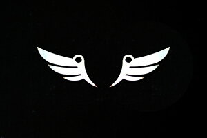 車 エンブレム ロゴ その他のバイク用品の人気商品 通販 価格比較 価格 Com