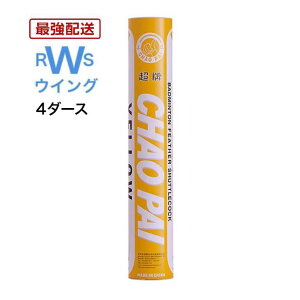 yŋzz CHAO PAI oh~g Vg `IpC CG[ CP-1507  K`E VgRbN 2 3 4 5 4_[X K yzBz