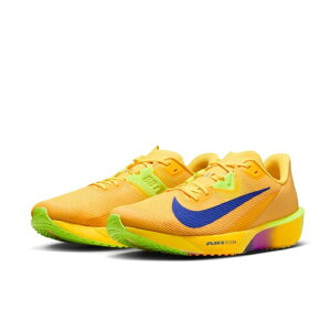 NIKE�@�i�C�L �G�A�Y�[�����C�o���t���C 4�@�����Y�����j���O�E���[�V���O�V���[�Y�@��ʃ����i�[�@���Z�@���w�@�����@�����g���@���[�X�@ AIR ZOOM RIVAL FLY 4�@FV6040-801