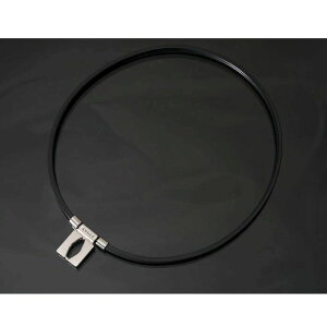 �A���O���@e.���f���@01�l�b�N���X�@�J���[�F�v���`�i�@���C�l�b�N���X�@ANGLE e.MODEL 01 NECKLACE�@AE01N