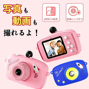 y2000fzqp J LbYJ fW^J gCJ 32GJ[ht OJ2000f A ^C}[ 킢 m炨 qǂav[g ΕNX}