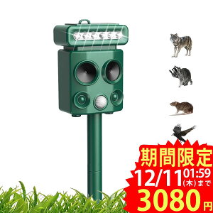 y2025NŐVo[Wzފ g \[[ Qb Qb΍ L悯 悯 悯 lY~ USB[d\[[[d ҋ@ LED̓tbVCg ԊOZT[ 12m