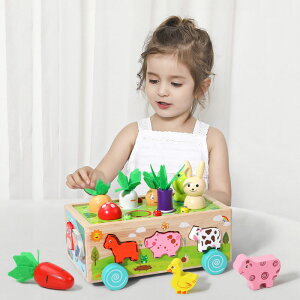 y31_Zbgzeb\[  m炨 ؐ pY eb\[ ؂̂ ςݖ ^͂ `F FF ʕ  ͂߂ `킹 wP ]g qǂa