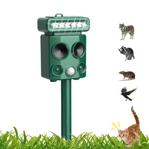 y2025NŐVo[Wzފ g \[[ Qb Qb΍ L悯 悯 悯 lY~ USB[d\[[[d ҋ@ LED̓tbVCg ԊOZT[ 12m