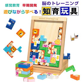 【新登場！】4in1 モンテッソーリ 知育おもちゃ 木製パズル テトリス ジグソーパズル 積み木 3D立体パズル モンテッソーリ教具 早期開発 指先訓練 脳トレ 記憶力トレ 空間認識 創造力 学習パズル 形合わせ 女の子 男の子 3歳4歳5歳6歳 誕生日プレゼント 人気ギフト 送料無料