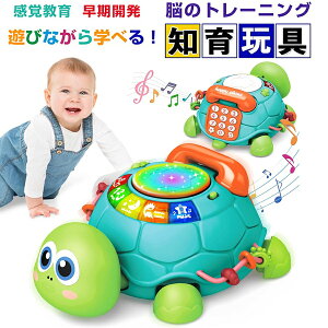 多機能 ハイハイカメ 赤ちゃん おもちゃ 知育玩具 モンテッソーリ おもちゃ 早期開発 指先訓練 音の出るおもちゃ 音楽おもちゃ 電話 数字 ABC学習 子供モンテッソーリ教具 聴覚発達 色認知