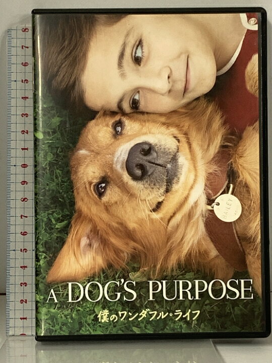 僕のワンダフル・ライフ』続編が9.13公開、日本オリジナルポスター解禁 « 映画ランドNEWS DVD 僕のワンダフル・ライフ