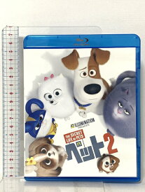 【中古】ペット2 NBCユニバーサルエンターテインメント パットン・オズワルト 「Blu-ray」