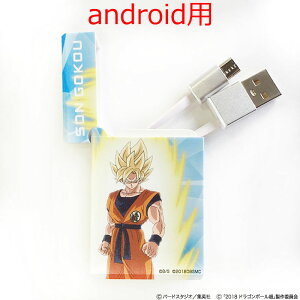 �ye!�V���b�v����z�h���S���{�[���� �u�����[ BOX���[�^USB�P�[�u��android�p ���