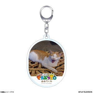 ǂԂ fBN^[ZNg ANL[z_[ R{