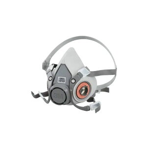 6000 1 ʑ̂̂ zʕʔ h(ho)p ڂǂ LŃKX