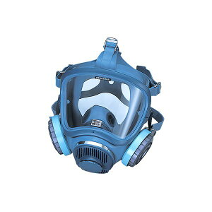 TJ 1721H_03^ 1 h敪RL3iߏW99.9%ȏj whW50 ϋv̖ڃKXƖʑ̑f ΖȁiAXxXgj ċzpی̋敪2 _CILVx1@ː 