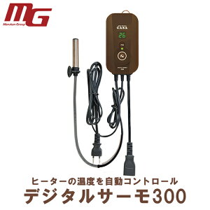 }J fW^T[300 iMLP-65j