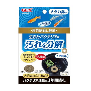 WFbNX GEX xXgoCIubN _Jp