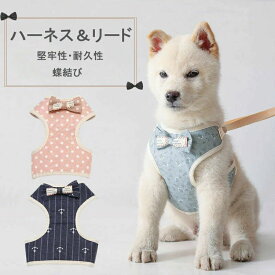 ペットハーネス＆リード 安心散歩 お出かけ用 おしゃれ 猫犬通用リード ハーネス＆リードセット 散歩が楽しくなる 小中型猫犬 かわい