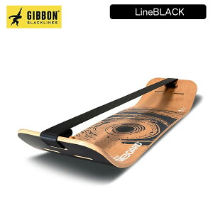 �M�{�� �M�{�[�h �A�N�e�B�u�Z�b�g GIBBON GIBOARD ACTIVE SET �{�[�h �X���b�N���C�� �o�����X �̊� �g���[�j���O �����^�� �g���b�N ��l �q�� �C���h�A �A�E�g�h�A �X�|�[�c �t�B�b�g�l�X �����^