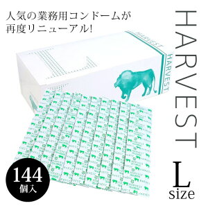 Rh[ LTCY Ɩp n[xXg n[xXgVA[ LTCY 144 n[xXg S