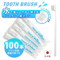 使い捨て歯ブラシ 業務用 ホテル ホテルアメニティ 民泊 旅行 キャンプ 銭湯 業務用歯ブラシ 100本入り …