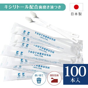 ���u���V �Ɩ��p �g���̂� HOKUTO �L�V���g�[�����u���V 100�{�Z�b�g �g���̂Ď��u���V � �z�e�� ���� ���s �L�����v �K�� �A���j�e�B �n�~�K�L�t�� ���{�� ���Y �C���X�^���g���u���V 